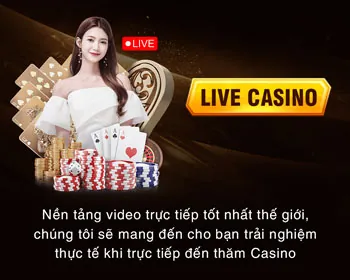 Trường gà trực tiếp
